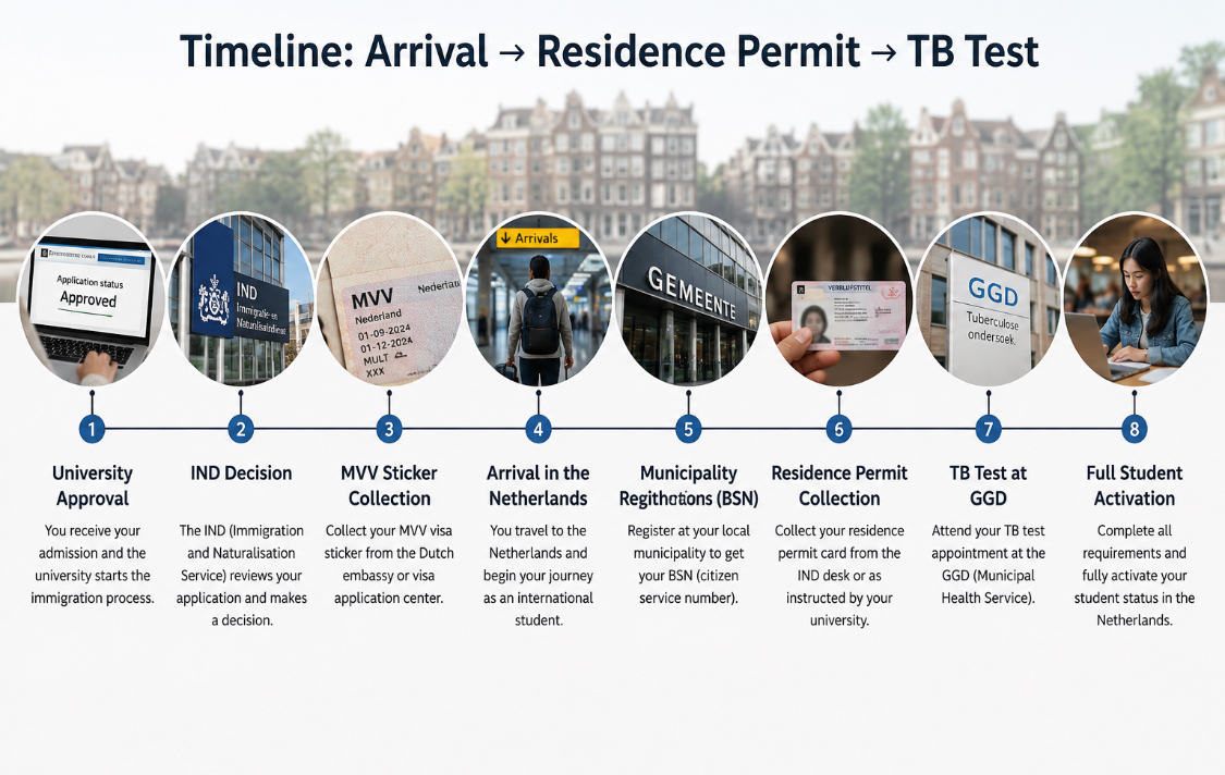 Timeline illustration showing Netherlands student visa MVV process residence permit collection BSN registration and TB test steps for international students